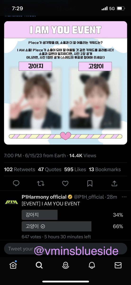 vminsblueside's tweet photo. @P1H_official I chose 고양이 because Soul fits the cat look so much! It’s so adorable and precious, along with the pose he is doing. 

#P1Harmony #피원하모니 #P1H #HARMONY #ALLIN #JUMP #IAM소울 https://t.co/6RnHP7oELN