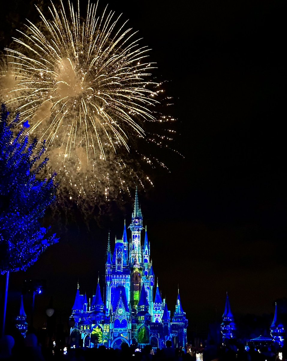 Michael Trebony tweet media