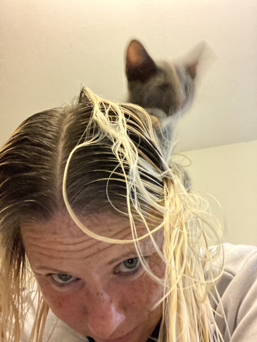 MarsRoverCat's tweet photo. Foster kitten Salsa was helping mom with her hair today.  I think she did a great job! https://t.co/yoyHIMKZTi
