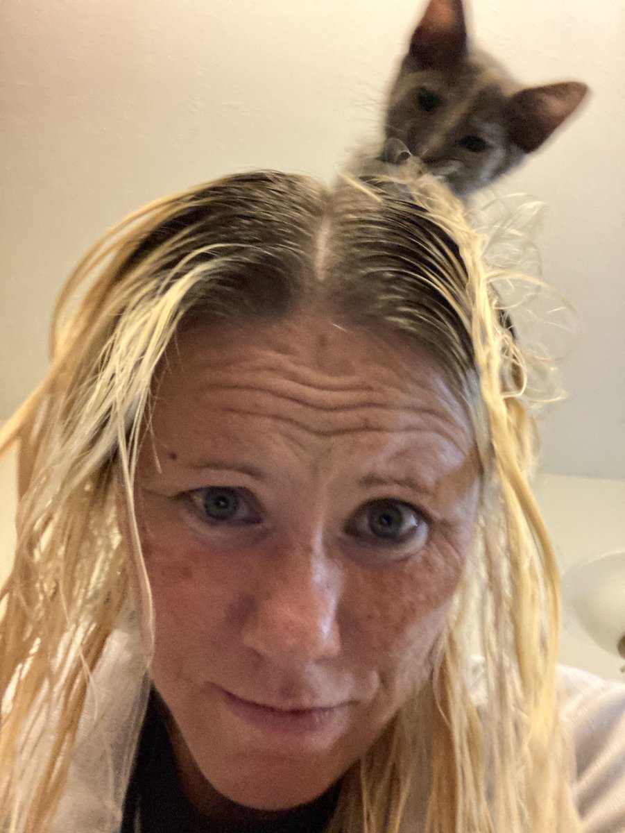 MarsRoverCat's tweet photo. Foster kitten Salsa was helping mom with her hair today.  I think she did a great job! https://t.co/yoyHIMKZTi