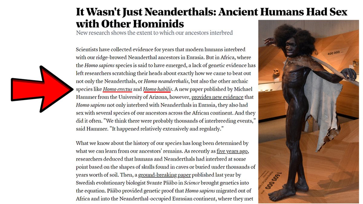 @ThomasWNorman @VOdensson Correct, Europeans average close to 2% Neanderthal admixture which is considered a different archaic hominin species. The difference being that the admixture in sub-Saharan Africans is up to 19% and is super-archaic, a species separated from modern humans by over 2 million years.