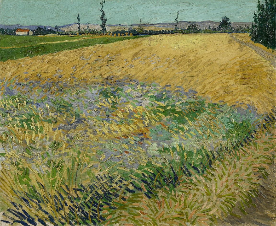#VanGogh of the Day: Wheatfield, June 1888. Oil on canvas, 54 x 65 cm. Van Gogh Museum, Amsterdam. <a href="/vangoghmuseum/">Van Gogh Museum</a>