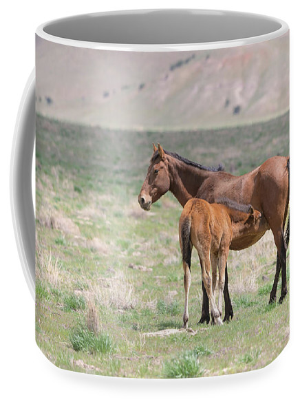 Milk with your #Coffee? 😀Two #mug sizes available.

Get It: fon-denton.pixels.com/featured/wild-…

#WildHorses #WildHorse #Horses #CoffeeMug #BuyIntoArt #AYearForArt #TheArtDistrict #HorseLovers #Equine #GiftIdeas #FathersdayGifts #WildHorsePhotographs #CoffeeLovers #Mugs #PhotographyIsArt