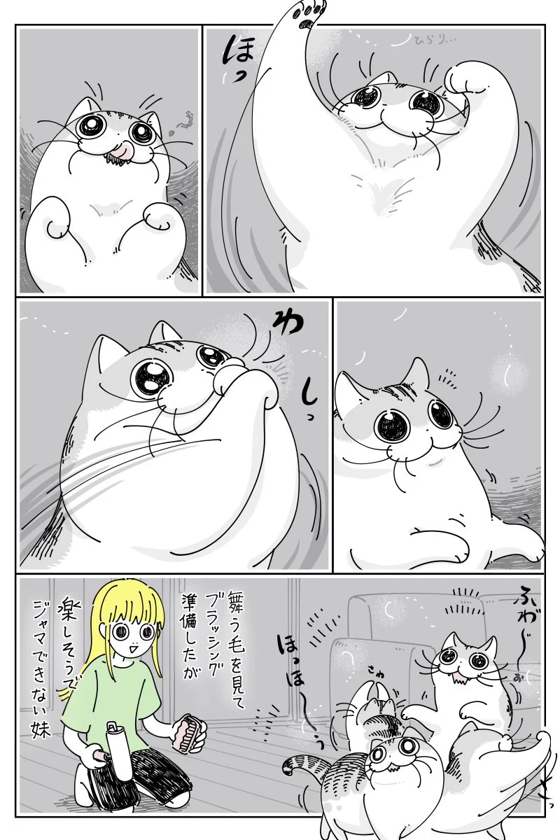 楽しそうな様子が可愛すぎる！舞った自身の毛で遊ぶ猫のお話を描いた「猫漫画」！