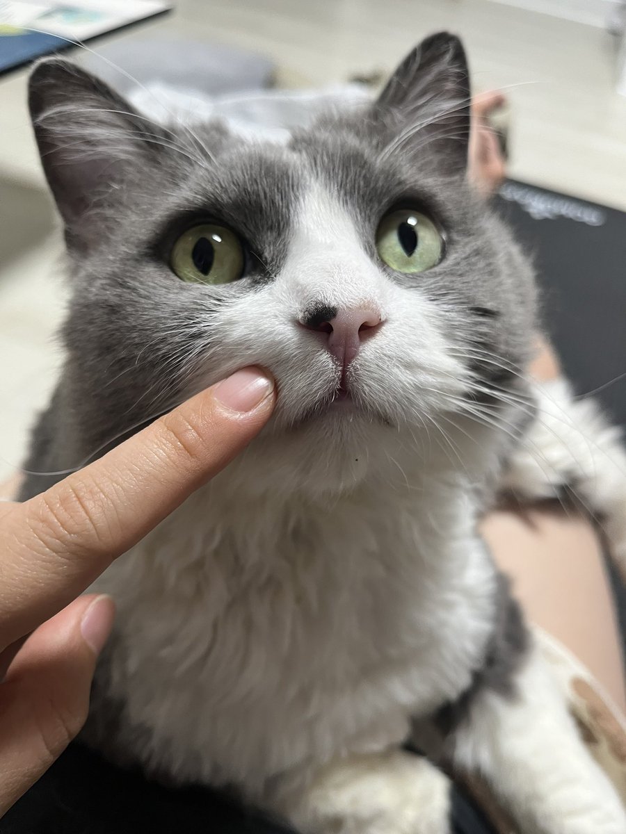 ㅇㄱㄹㅇ 게다가 내가 있으면 혈압 더오름 의사샘이 보호지분 안계실때 혈압이 더 낮다고 공식선언 해주셧음…