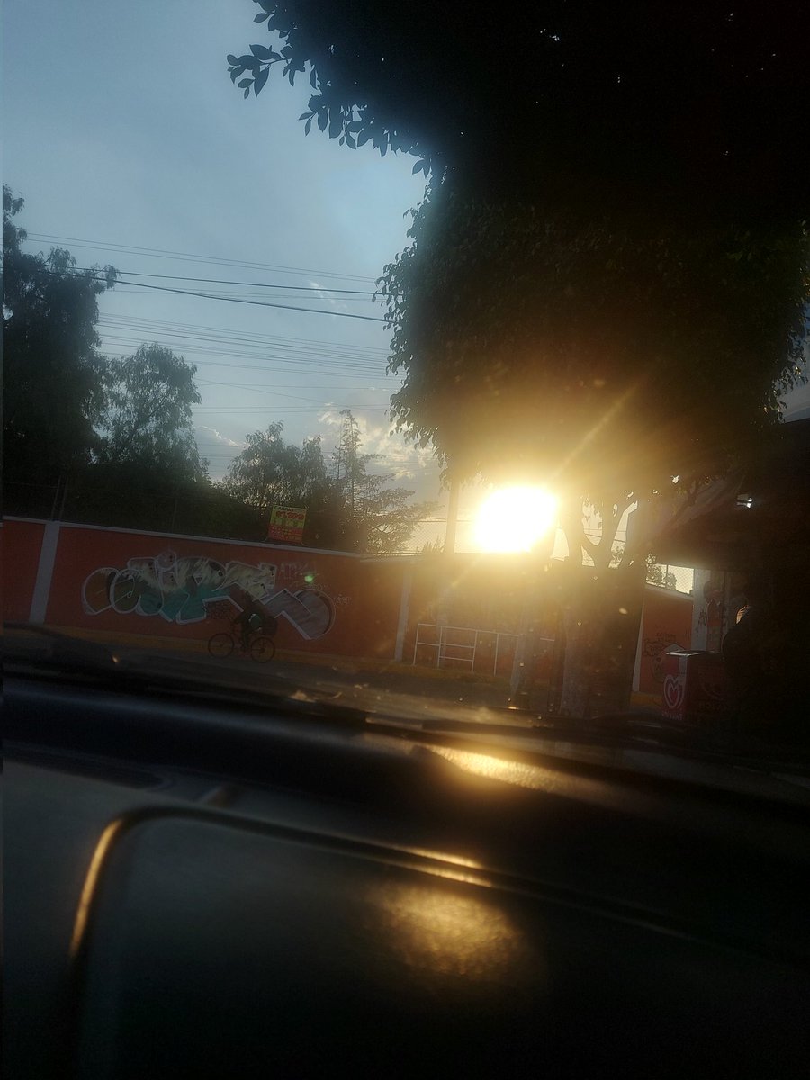 ILoboFe's tweet image. El sol salio curioso