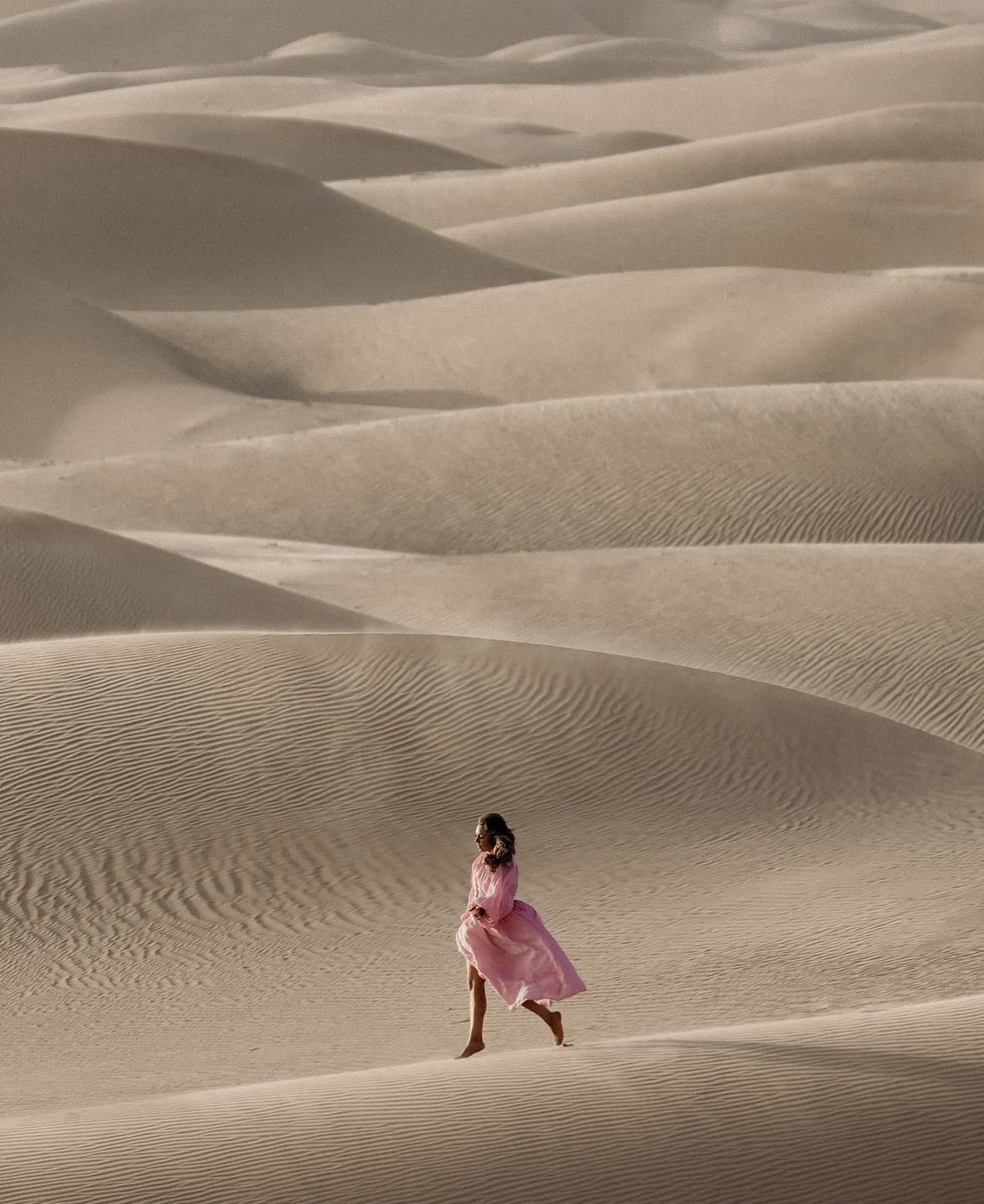 Envision Labs tweet media