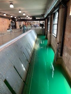 Voyage de 6e année au « Niagara Power Station » afin de voir comment l’énergie hydroélectrique est faite en utilisant la force de l’eau.