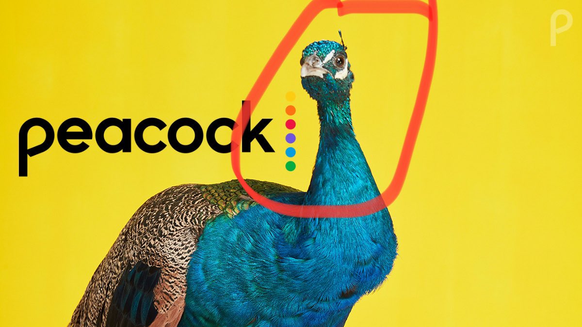 Hi @peacock? If you do not pick up I Love That For You, a perfect show that Showtime fumbled, you will never see HER again! (CC: @LasCulturistas @vanessabayer)