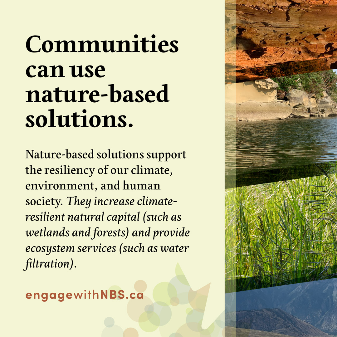 Communities can use nature-based solutions. 
#Naturebasedsolutions support the resiliency of our #climate, environment, and human  society. They increase climate-resilient natural capital (such as  wetlands and forests) and provide ecosystem services (such as water  filtration).