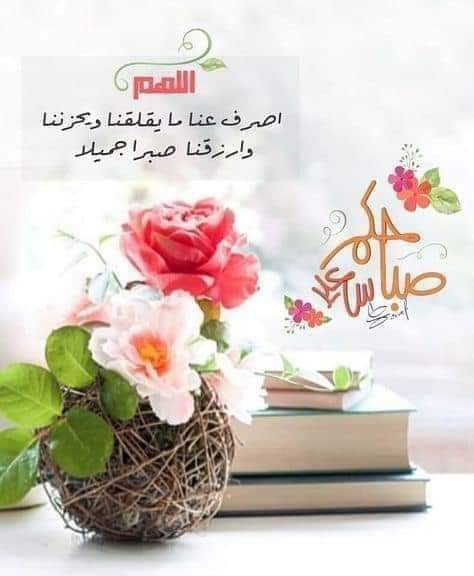 lineforce's tweet image. قال تعالى﴿ هَلْ جَزَاءُ الْإِحْسَانِ إِلَّا الْإِحْسَانُ ﴾

جعلنا الله وإياكم ممن طاب ذكرهم وحسنت سيرتهم واستمر أجرهم في حياتهم وبعد مماتهم .....

*اللهم آمين يارب العالمين* 

    *🌹 جمعة مباركة 🌹*