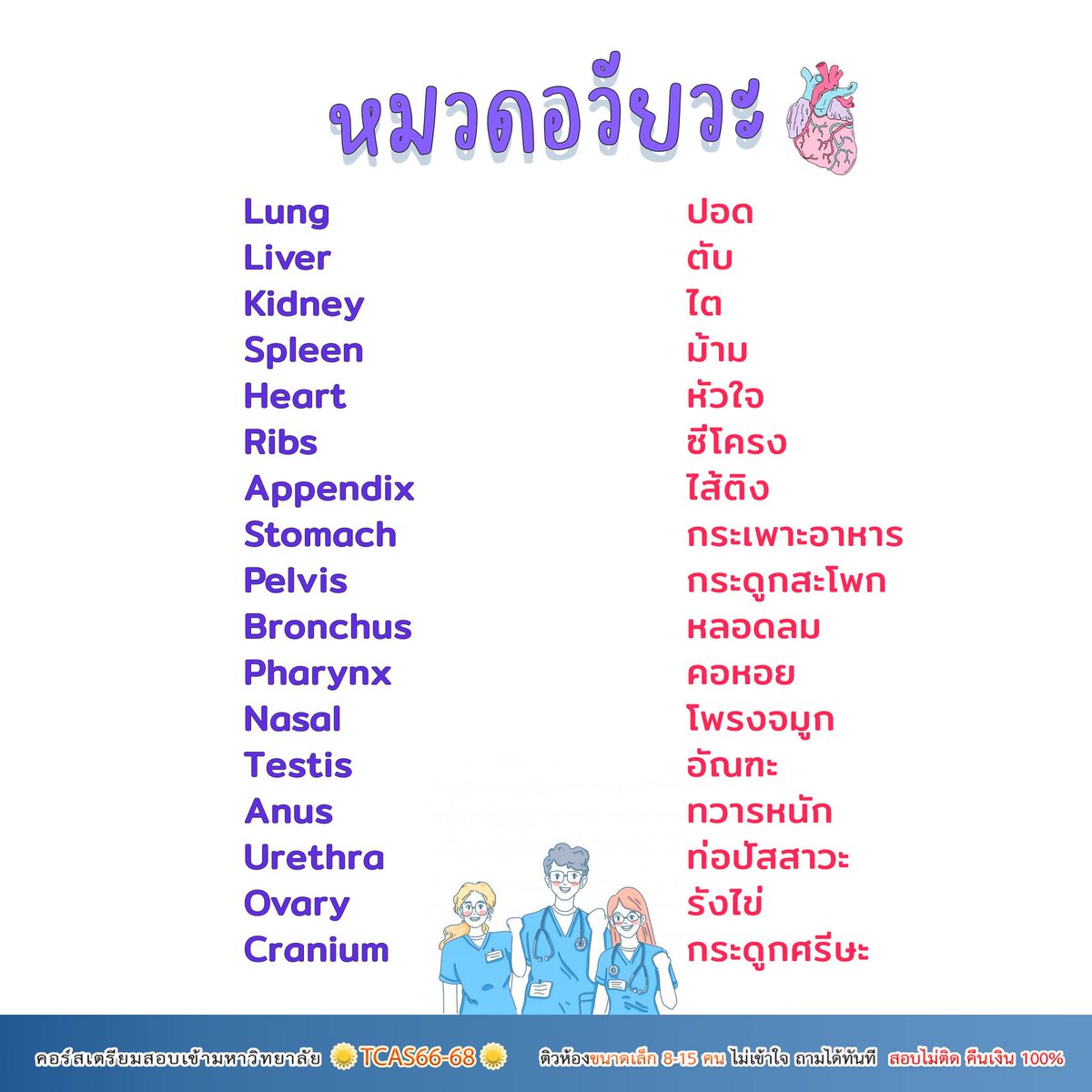 TrongjaiTutor's tweet photo. 📌เก็บศัพท์วันละนิด พิชิต #BMAT  
📚 เตรียมสอบ #BMAT และ #กสพท #ทีมหมอ 

#DEK67 #TCAS67 https://t.co/fK6F3uDqEg