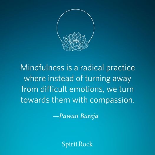 Mindfulness is a radical practice where instead of turning away from difficult emotions, we turn towards them with compassion.

#mindfulness #meditation #laughteryoga #reiki #intuition #medicalintuition #compassion #radical #trust #wellness #healing