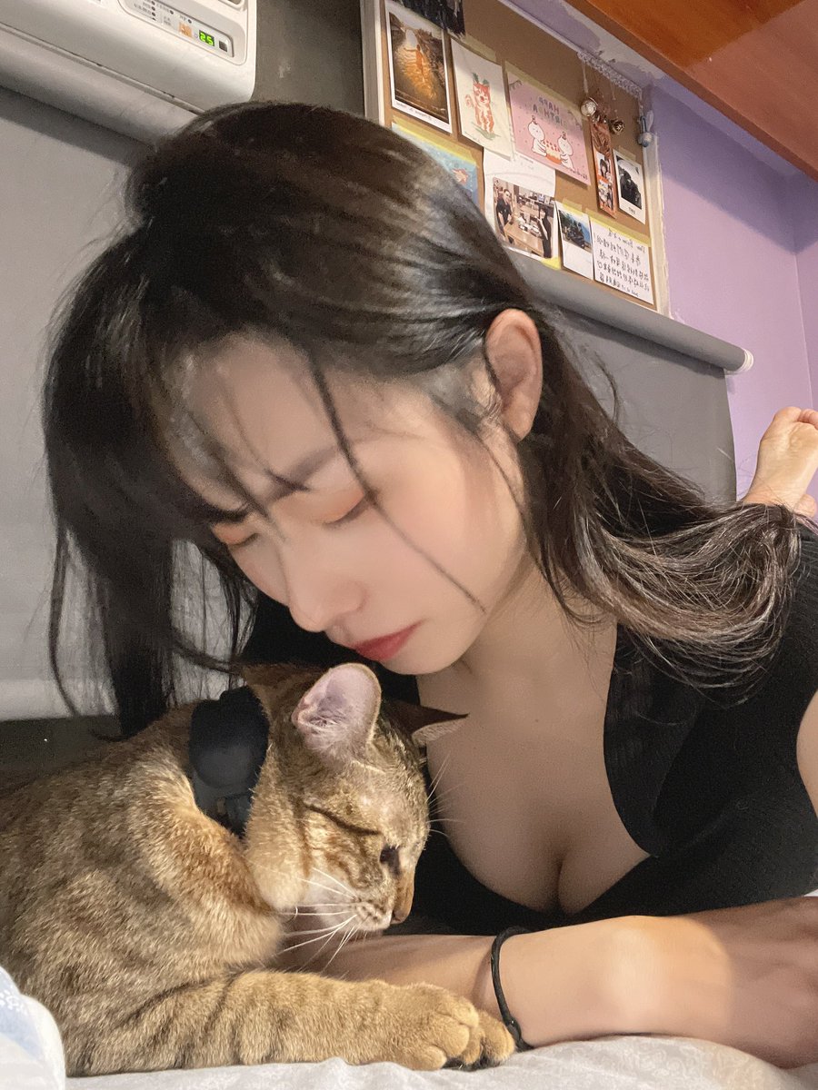 lunn_ya's tweet photo. My honey 💕

#cat https://t.co/sbUDUytaMx