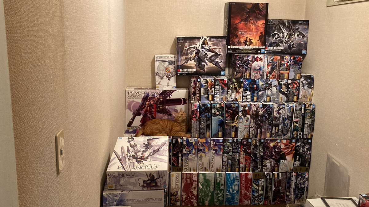 #ガンプラ
久しぶりに整理整頓　
MG と大きいＨgで揃えてみた。
次は、Ｈg整理しなきゃな