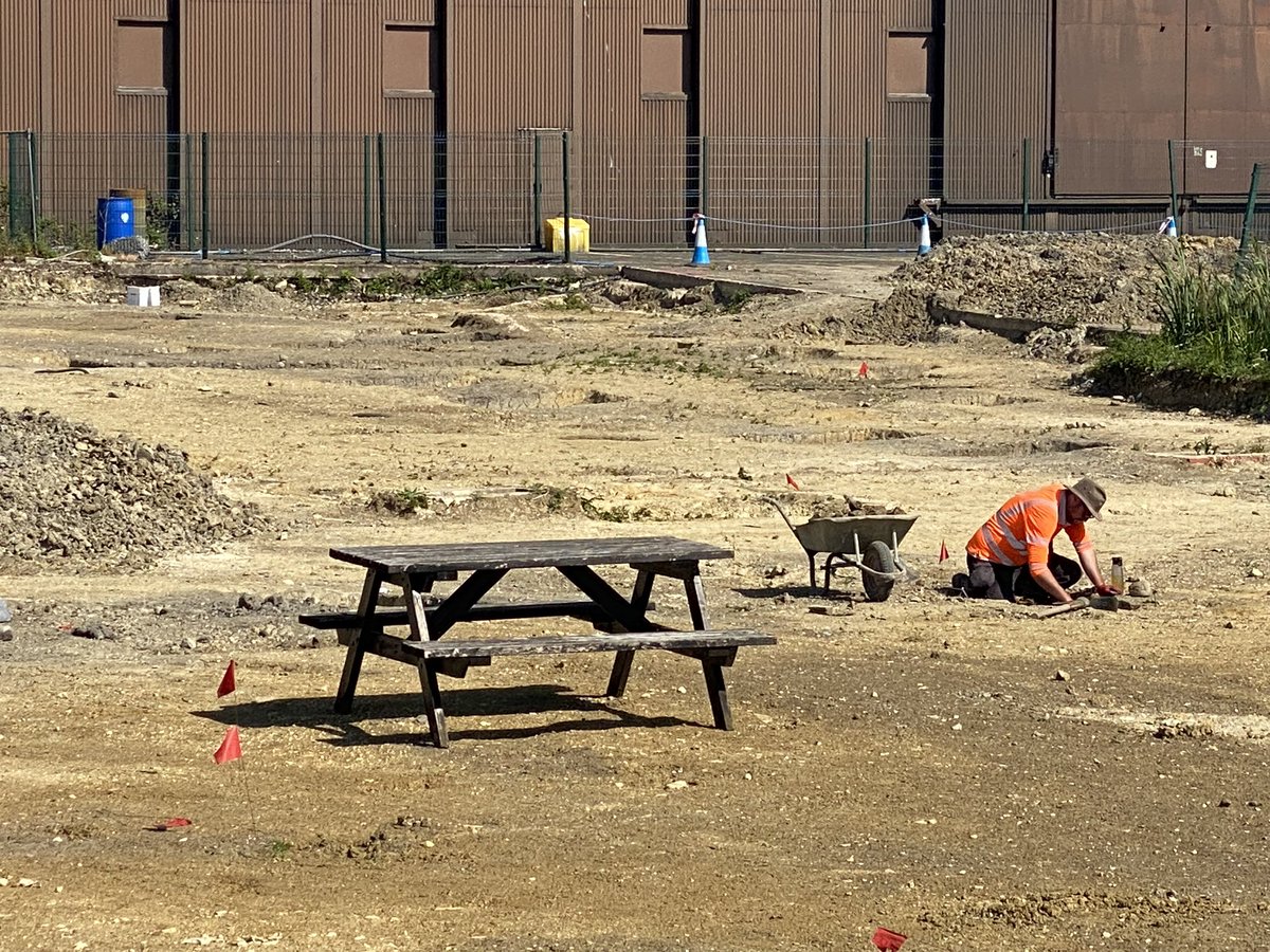 Prof Alice Roberts💙 tweet media