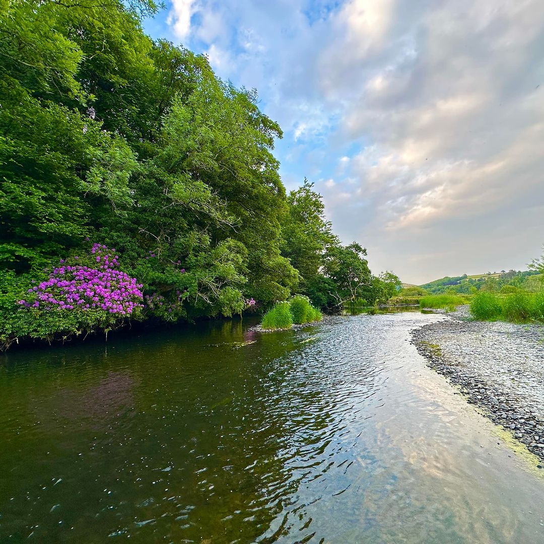 FishPal's tweet photo. 🐟The Teifi is fishing exceptionally well in the evenings (2000-2230)! Here's an account by FishPal ambassador @fishysteff: 'Great to see such a healthy density of trout, but also a good number of 12-16 inch fish - fantastic sport.'

More info👇
https://t.co/9SoBykMgUP

#FishPal https://t.co/DJzl4XMxj5