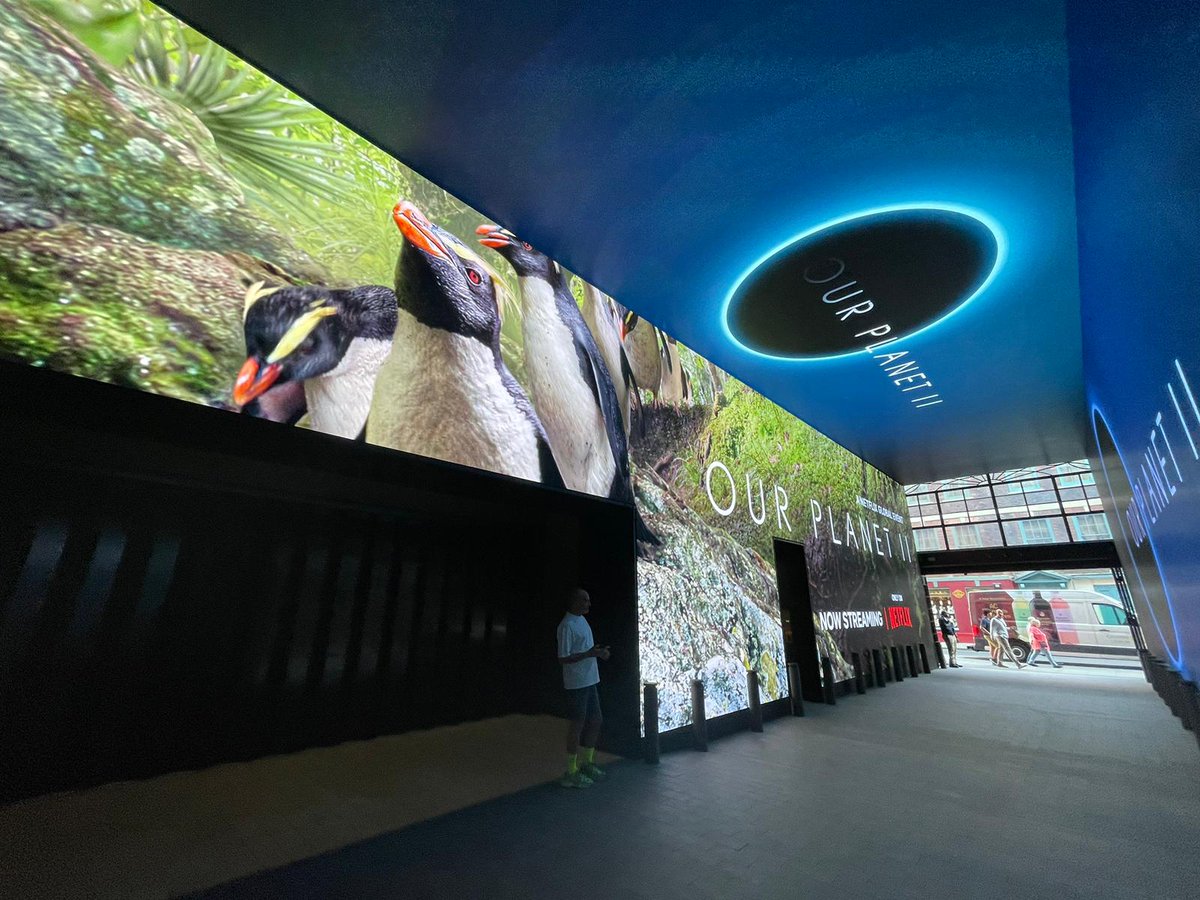 ulnberg's tweet photo. Wow!! #Tawaki = #NewZealand jungle penguin spotted in London!

#OurPlanetII @Netflix #SilverbackFilms @silverback_films @OurPlanet https://t.co/5xlr06T0ON