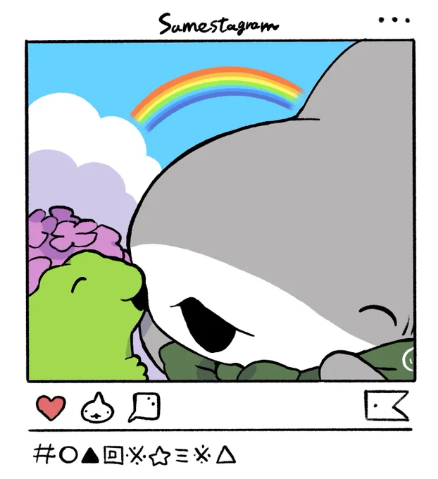 インスタグラムもやってます!よろしくね🦈  