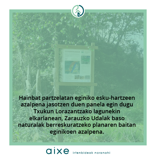 aixegune's tweet photo. Hainbat partzelatan eginiko esku-hartzeen azalpena jasotzen duen panela egin dugu Txukun Lorazantzako lagunekin elkarlanean, Zarauzko Udalak baso naturalak berreskuratzeko planaren baitan eginikoen azalpena
#GesoerrekaBasoa #artelatza #arkamurka #EraztunBerdeUrdina @ZarauzkoUdala https://t.co/RzwvnY8ROF