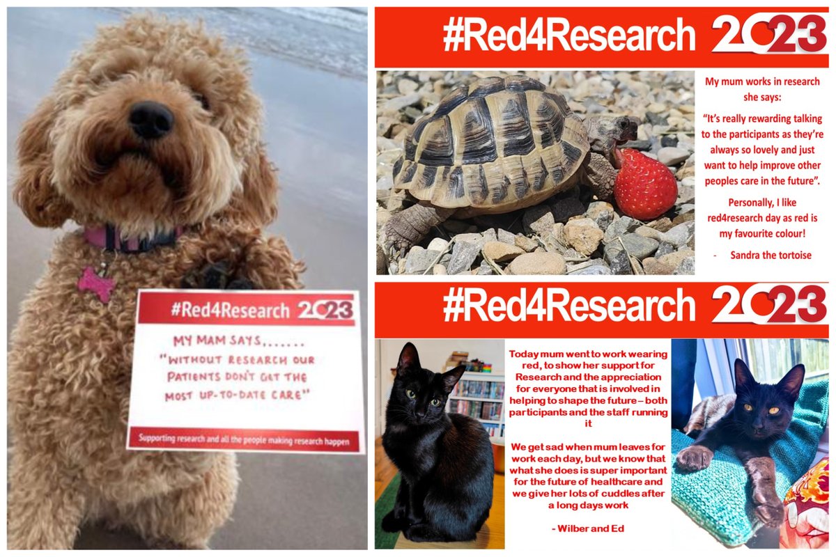 Even the R&amp;D pets wanted to get in on the #Red4Research action today <a href="/Gateshead_NHS/">Gateshead Health NHS Foundation Trust</a> @davies_trudie