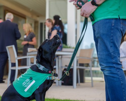 hiwcf.org.uk/charity-event-…