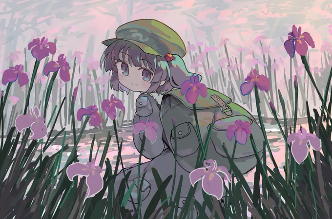 花菖蒲