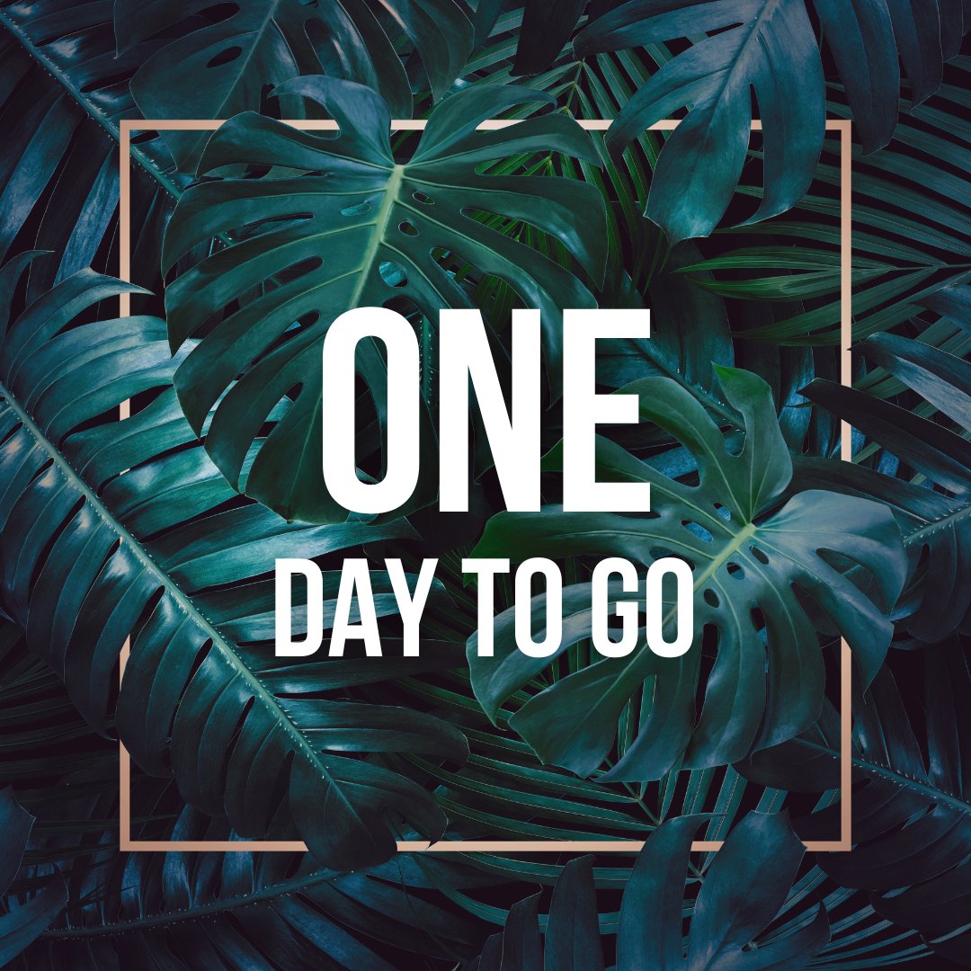 Wellnergy ✨ tweet media