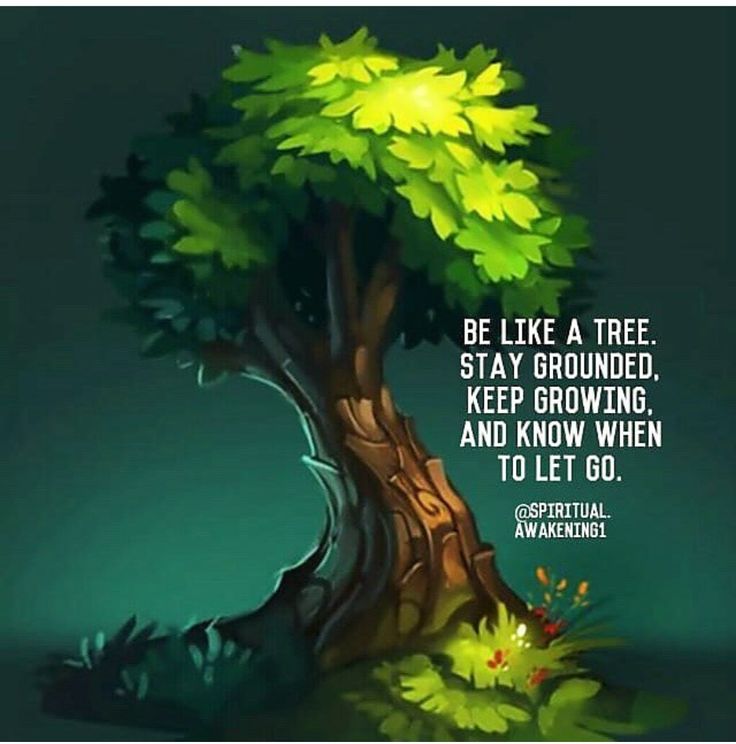 deepmathematics's tweet image. Today  my S2 pupils learned a very significant lesson  &quot;how to ground yourself and find breath&quot;. The example we used is &quot;Tree&quot;. 
Maths is important but our physical &amp;amp; mental health is more important . #MentalHealthAwareness #selflove #staygrounded #protectyourenergy