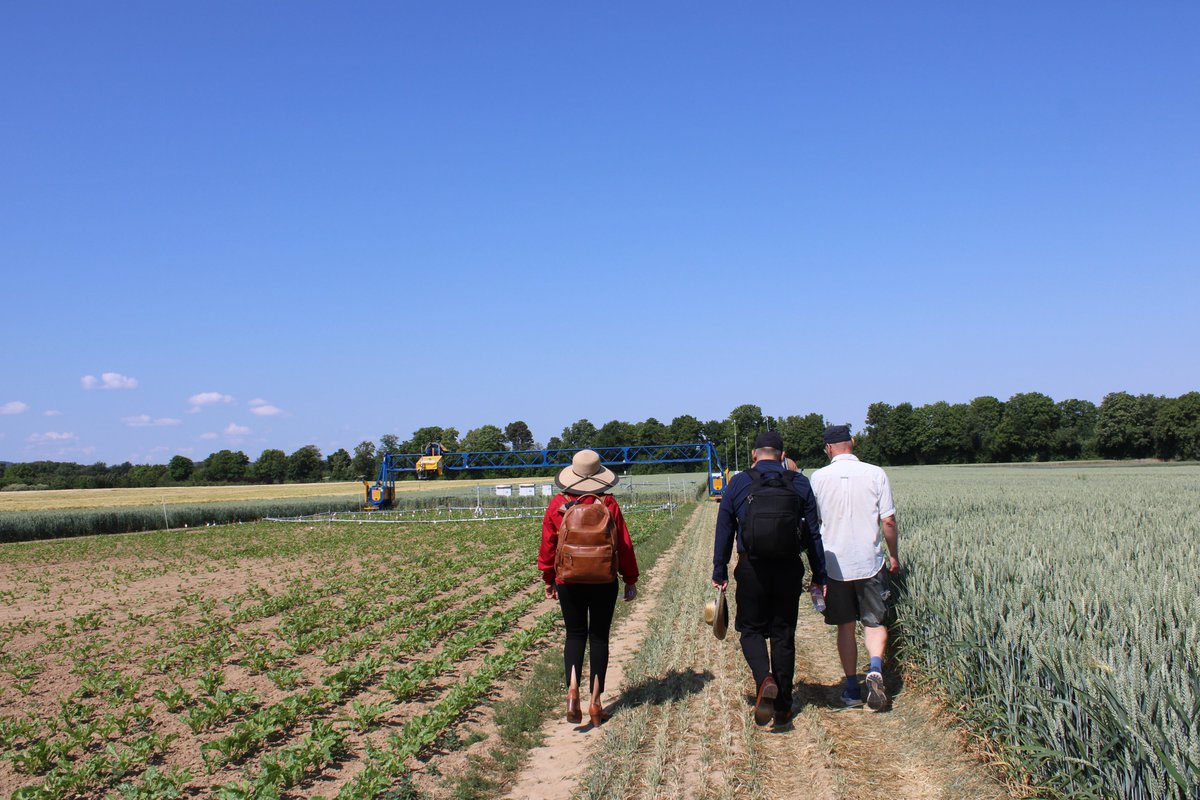 PhenoRob (@phenorob) on Twitter photo From Iowa to Bonn - we're having a great time with Arti Singh and <a href="/drsinghak/">Asheesh Singh</a> from <a href="/AII4RA/">AIIRA - AI Institute for Resilient Agriculture</a> , showing our robots, field experiments and connecting over lunch. From Iowa to Bonn - we're having a great time with Arti Singh and <a href="/drsinghak/">Asheesh Singh</a> from <a href="/AII4RA/">AIIRA - AI Institute for Resilient Agriculture</a> , showing our robots, field experiments and connecting over lunch.