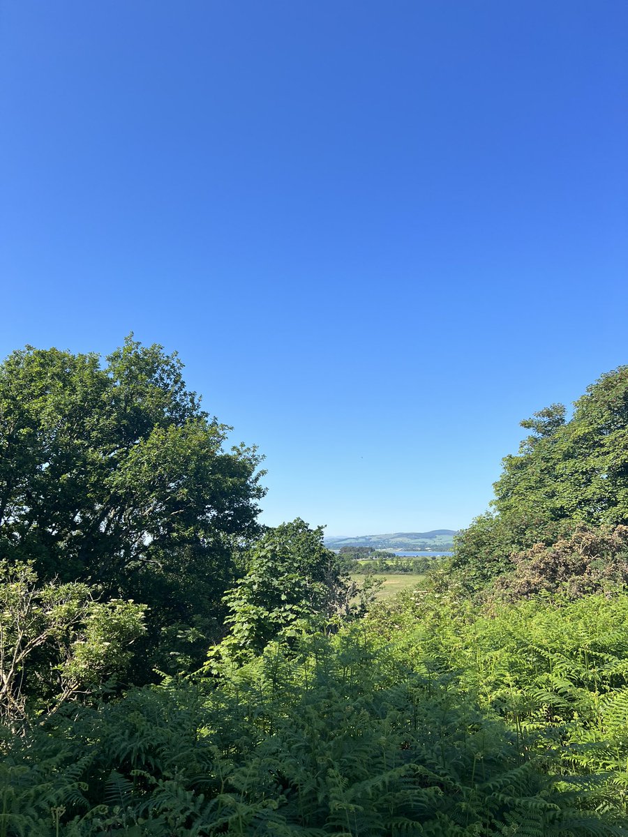 Health and wellbeing walks in the sun with my S4s 🌞