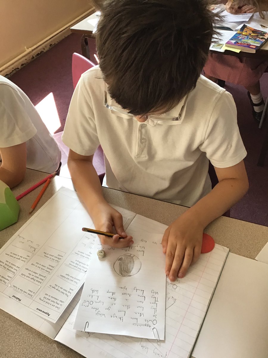 Now that we are owl experts, we are producing our own non-fiction books with all of the information that we now know. We’re thinking carefully about the layout and including headings, pictures and captions. <a href="/WilthorpePS/">Wilthorpe Primary</a> #WilthorpePSWriting