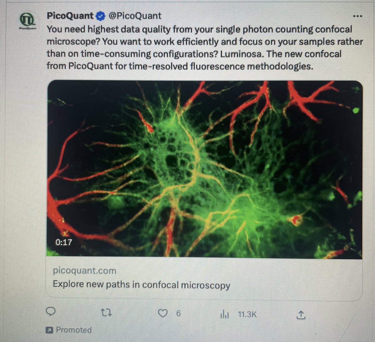 Nick Pettigrew tweet media