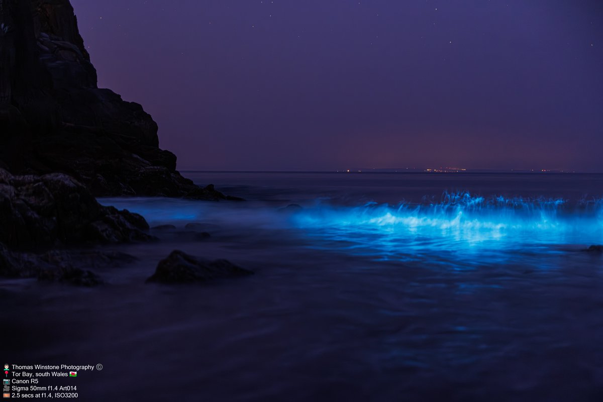 Tor Bay, south Wales last night had an amazing display of Bioluminescent Plankton, this was about 3am as the tide was coming in! #bbcwales
#bioluminescentplankton
#BLP
#cliffs
#cymru
#discovercymru
#findyourepic
#nightimages
#ordnancesurvey
#seascape
#thewalescollective
#TorBay