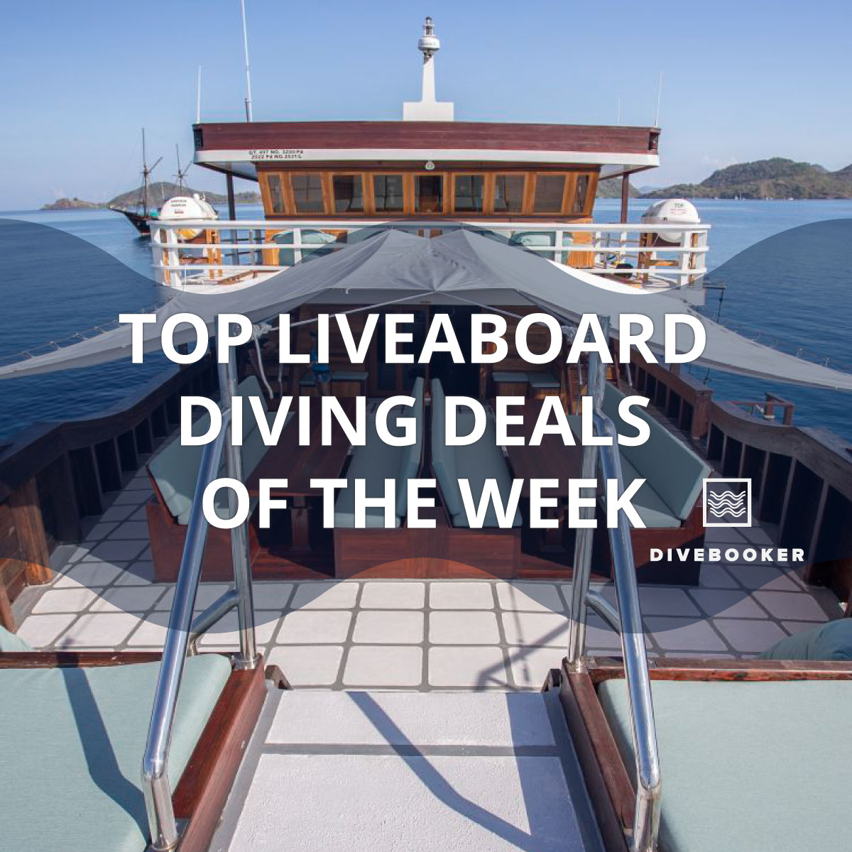Divebooker.com tweet media
