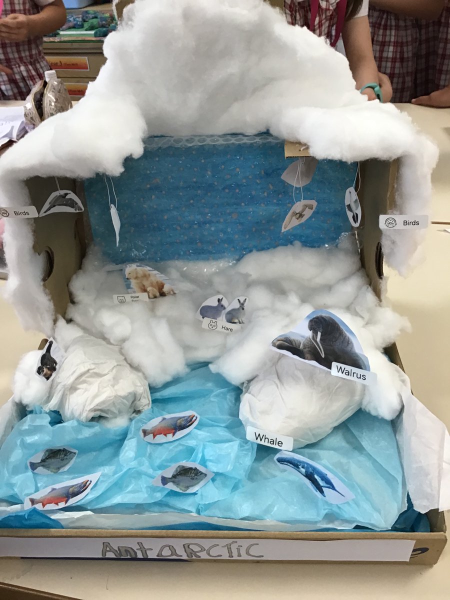 PipersPrep's tweet photo. Diorama of a habitat by #PipersYear4 for #PipersScience https://t.co/ae4zHL1MwU