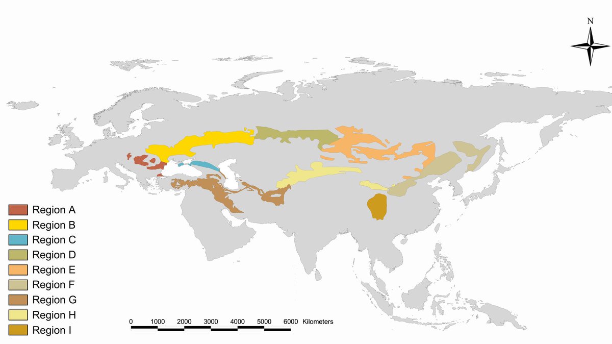 Forest steppes of Eurasia