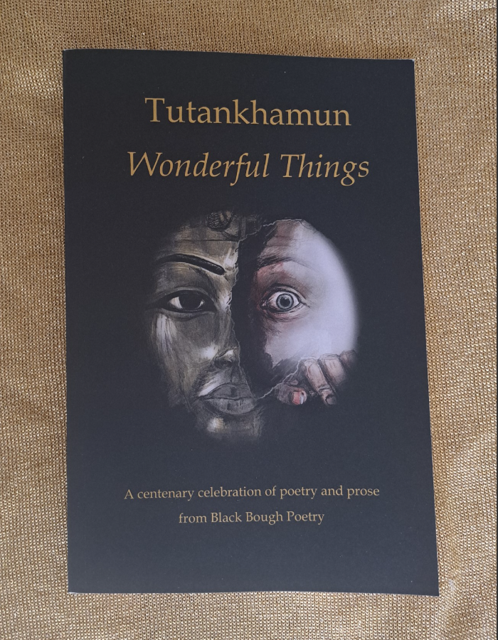 IvorDaniel's tweet photo. This is such a beautiful anthology from @blackboughpoems. Congratulations to
everybody involved in #WonderfulThings.
⭐️⭐️⭐️⭐️⭐️ https://t.co/0Hpvqlw3gz