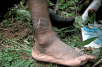 [AVANCE] El próximo martes, 20 de junio, se celebra el Día Internacional del Refugiado. Este domingo viajamos a la frontera entre Polonia y Bielorrusia para conocer la odisea de los refugiados de África y Oriente Medio, quienes se enfrentan a duras políticas migratorias