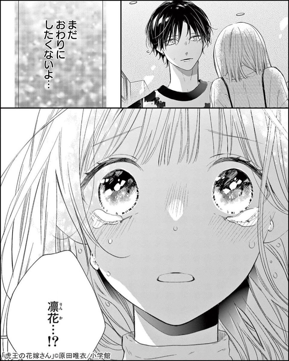 (5/5)  無料で試し読み↓ 