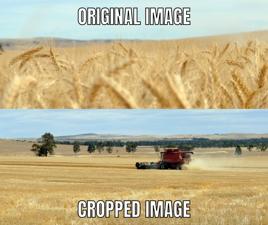 #Schooled in cropping

#FridayFunny #Cropping #AgChatOz #GrowingtheCrop2023