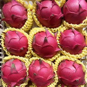 Homystar2's tweet photo. Fresh Dragon Fruit – Sweet, Multi Efficacy And Nourishment
Our Dragon fruit is thick skin , which is good for storage and transportation
https://t.co/ELonCvn4Zk
#DragonEyeFruit #DragonFruitCactus #DragonFruitGood #Pitaya #PitayaDragon #Pitayafruta #SugarDragonFruit https://t.co/KDVRsL6Qfy