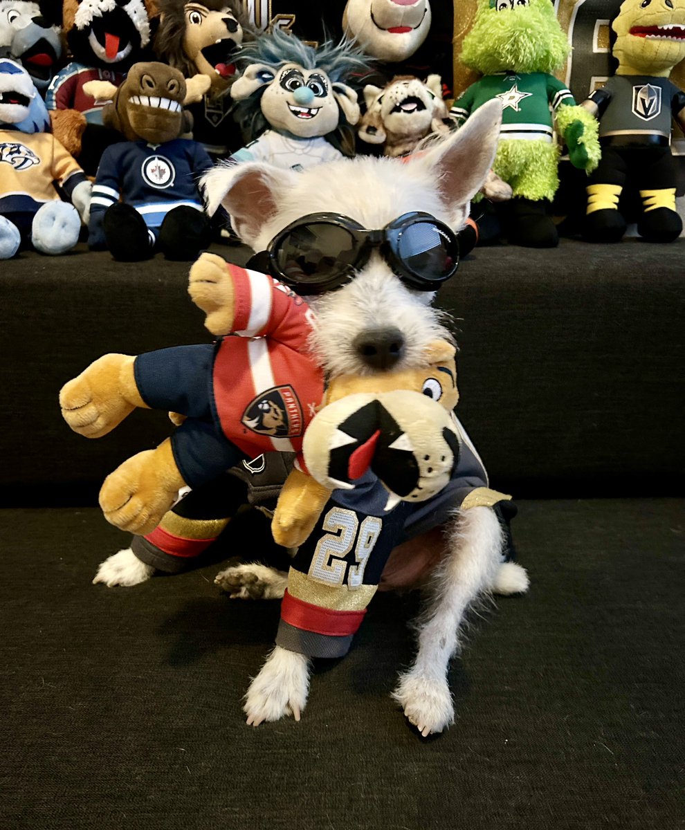2023 Stanley Cup Playoffs
mascot review! 
#VegasBorn 
#StanleyCupChampions