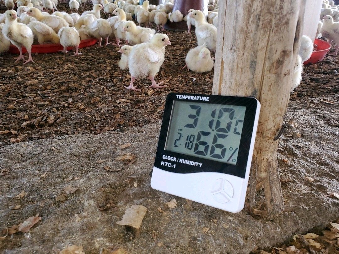 Themo-hygrometer , a device that allows you to monitor temperature and humidity in you poultry house. #FarmLink