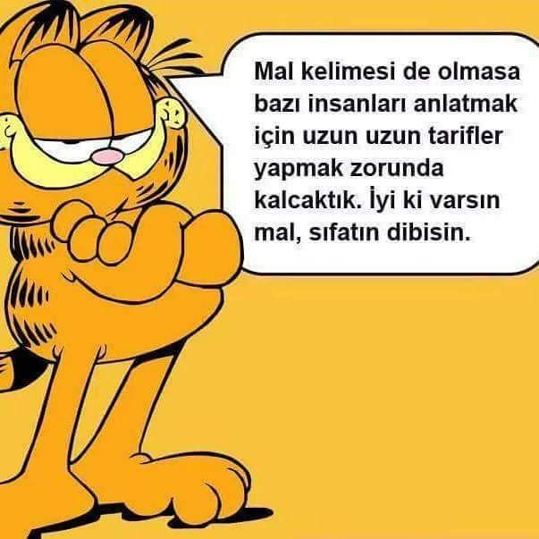 NazmDoruk1's tweet photo. https://t.co/MNHGKAdk2F