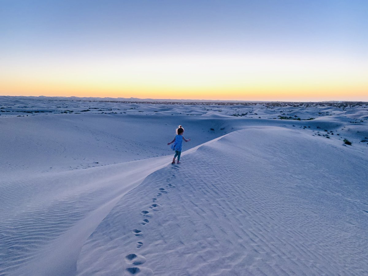 Olly Lewis tweet media