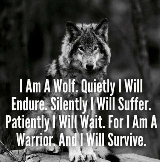 I am a Wolf. #FridayMotivation #quoteoftheday #quotetoliveby #motivational #inspirational #wolfquotes #endure #suffer #wait #warriorwoman #survivor #survivor #keepgoing #NeverGiveUp #neveroutofthefight #neverquit #healing #healingjourney