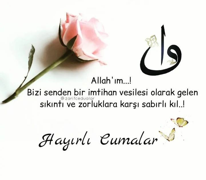 Nevin Bağcı🍂 tweet media
