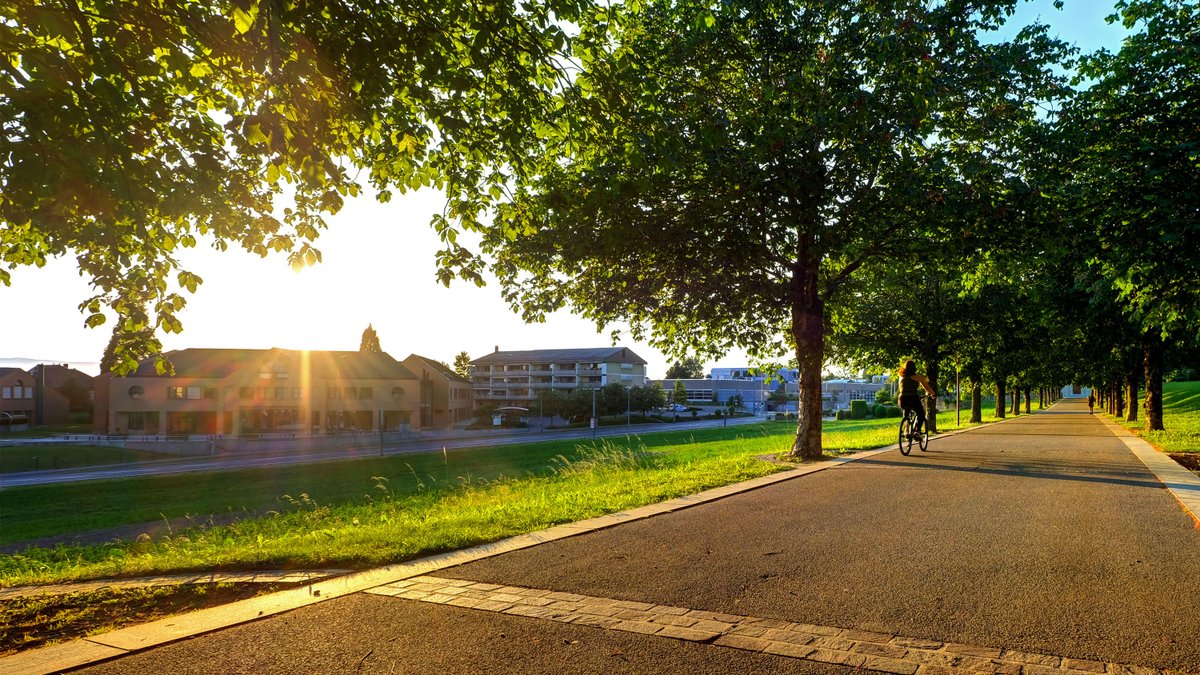 Die Labelkommission des Trägervereins #energiestadt hat folgende Gemeinden rezertifiziert: Bezirk Küsnacht, Freienbach SZ, Collina d'Oro TI, Diessenhofen TG, Le Mont-sur-Lausanne VD, Moosseedorf BE, Risch ZH, Rüschlikon ZH, Steinach SG, Thônex GE und Wauwil LU. Wir gratulieren!