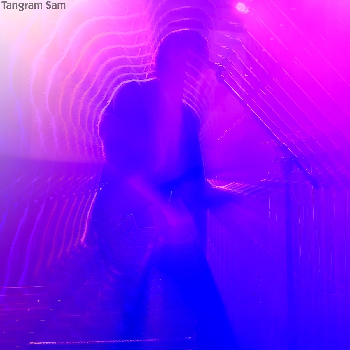 Tangram Sam tweet media